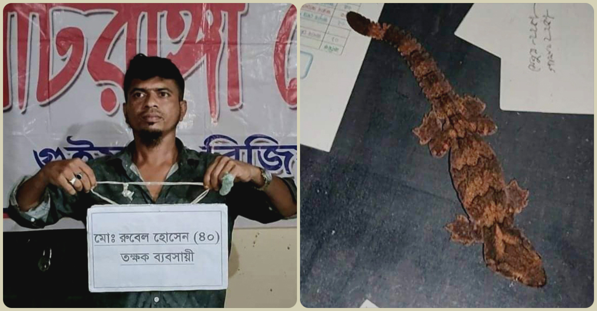 মাটিরাঙ্গায় ৭টি তক্ষকসহ এক ব্যবসায়ী আটক