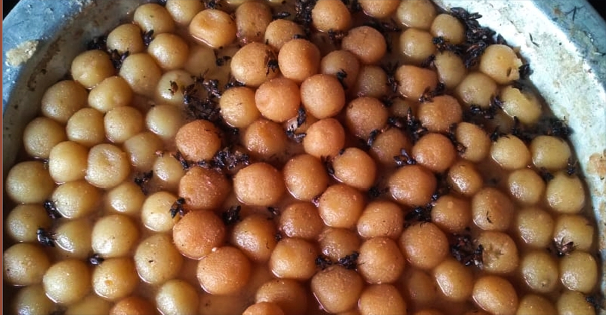 মিষ্টির পাত্রে পড়ে ছিল মশা-মাছি, দুই প্রতিষ্ঠানকে জরিমানা