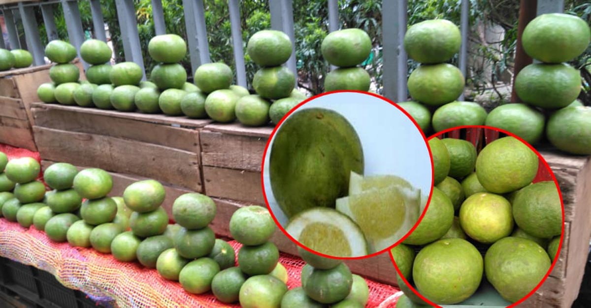 লন্ডন প্রবাসী সিলেটিদের পছন্দের শীর্ষে ‘সাতকরার আচার’