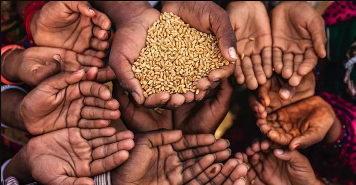 বিশ্বব্যাপী খাদ্য সংকট আসন্ন