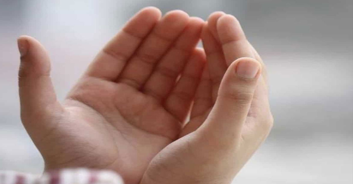 স্মৃতিশক্তি বৃদ্ধিতে দোয়া ও কিছু খাবার