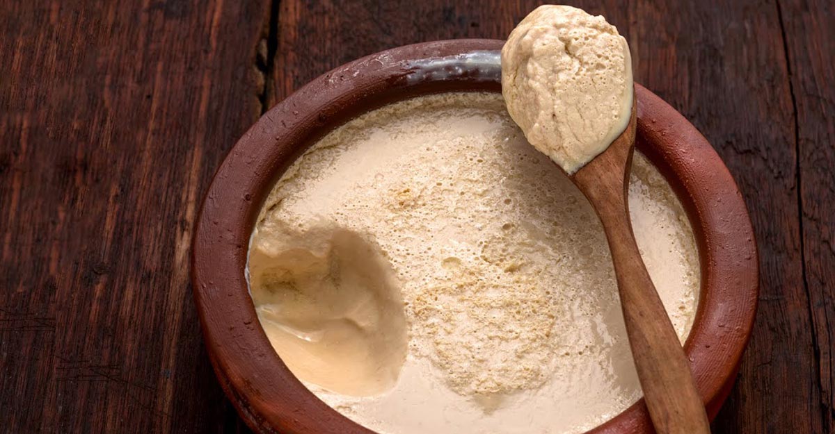 রেসিপি: ঘরে পাতা দই