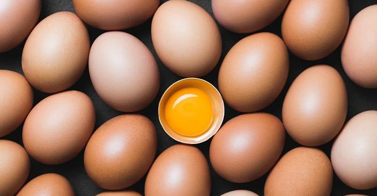 ডিম কতদিন পর্যন্ত ভালো থাকে?