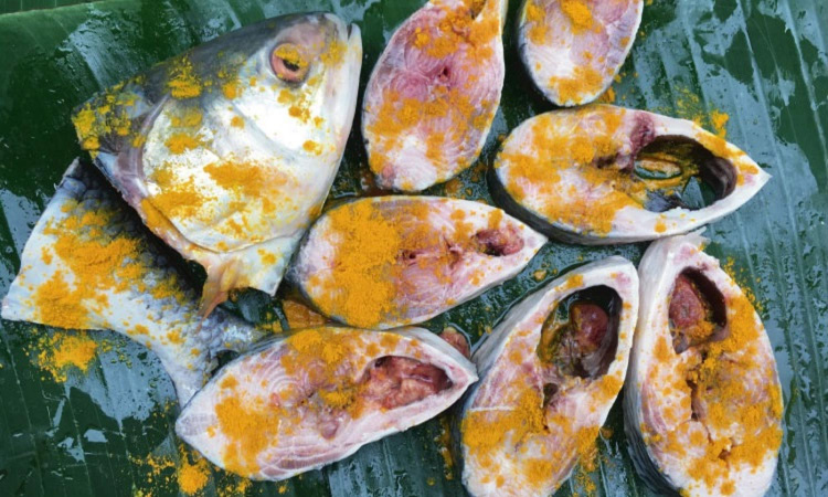 fish 
