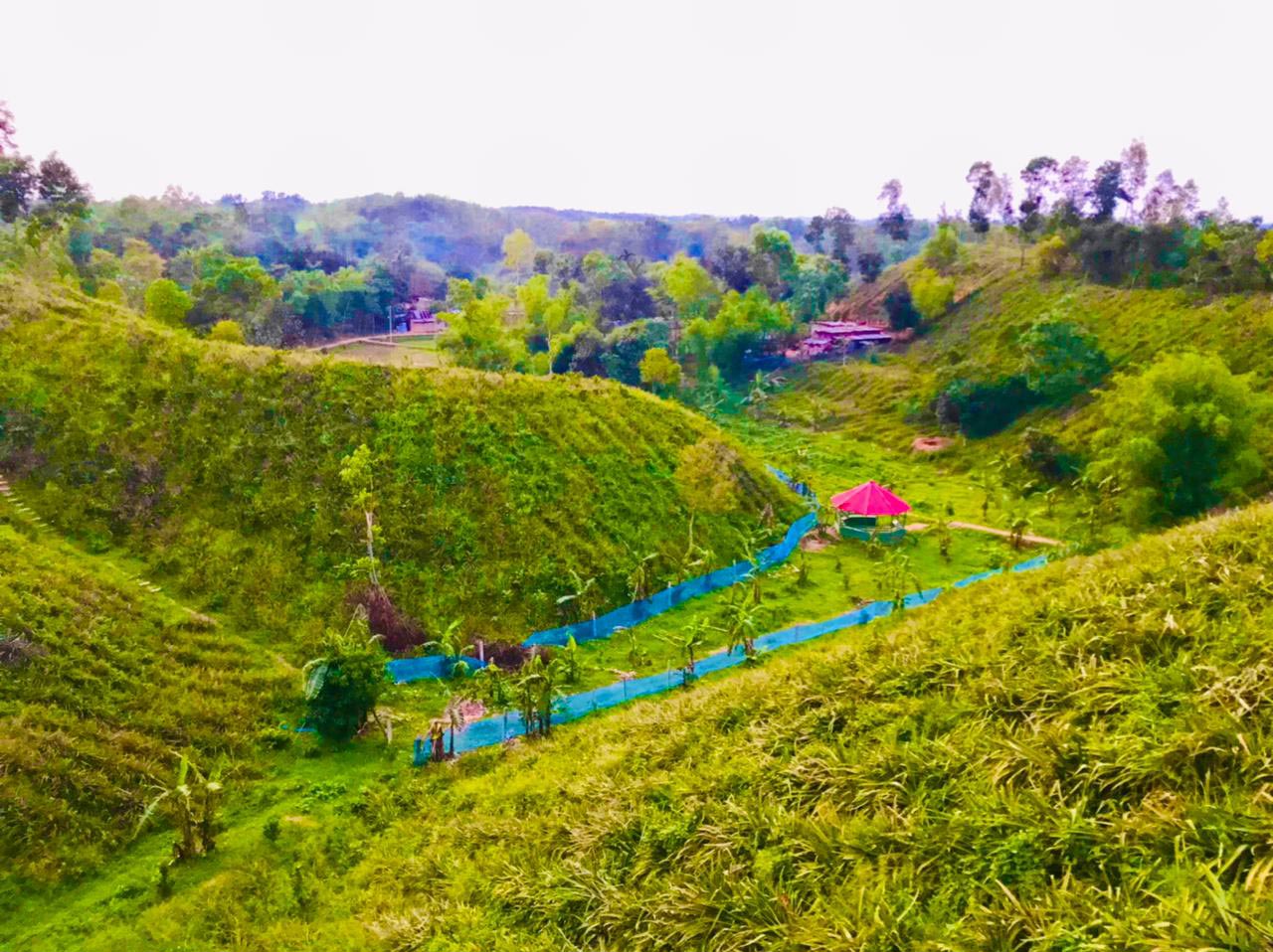 garden