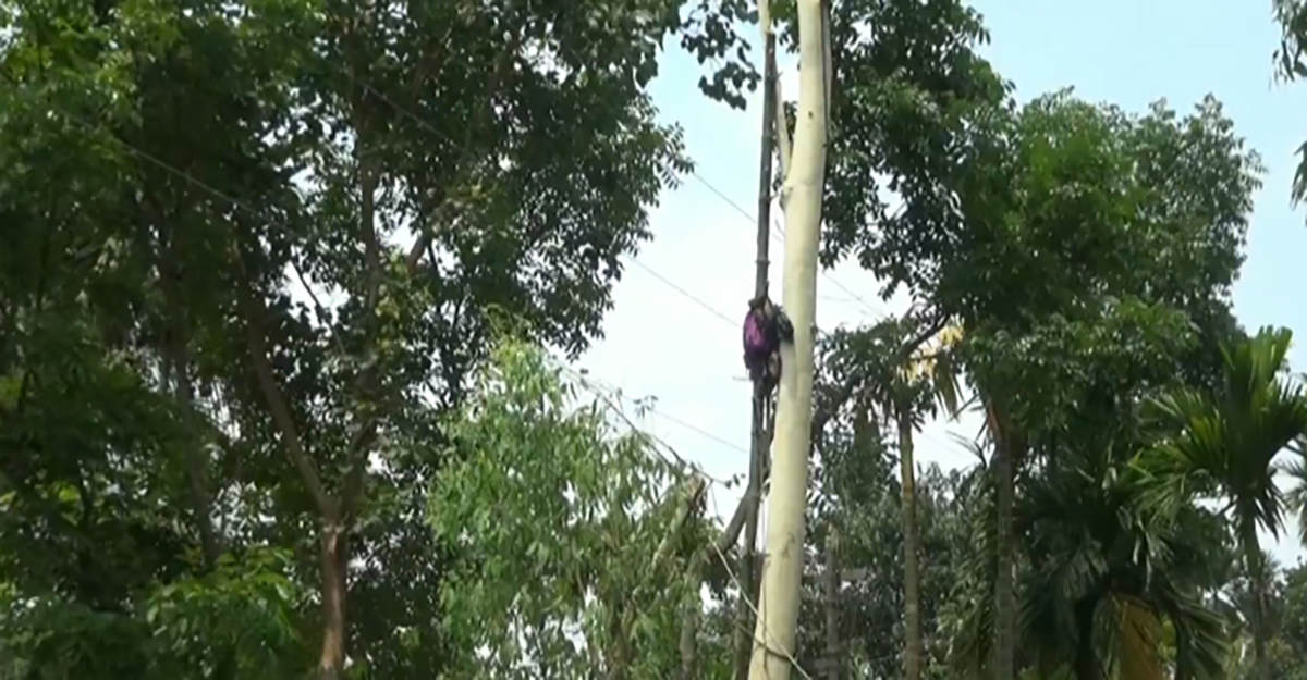 কুড়িগ্রামে গাছের ডালে ঝুলে ছিল বৃদ্ধের মরদেহ