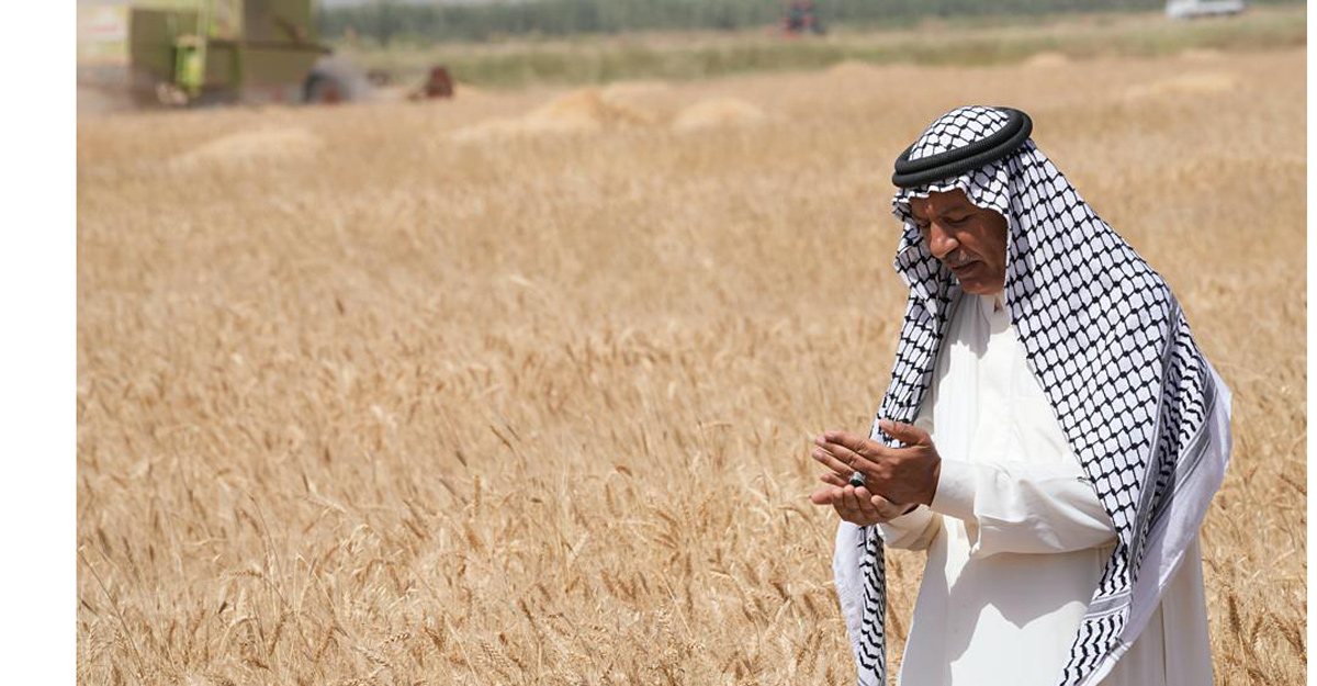 ইরাকে তীব্র পানি সংকট, হুমকির মুখে গম উৎপাদন