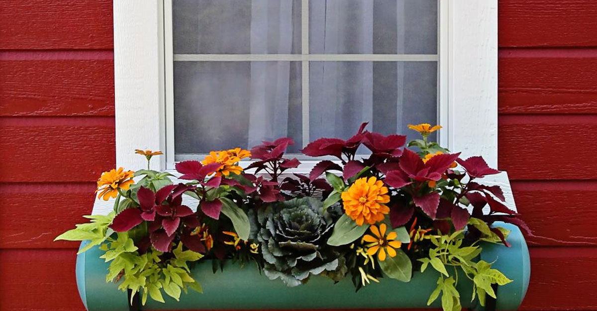 পালিয়ে বিয়ে জায়েজ?