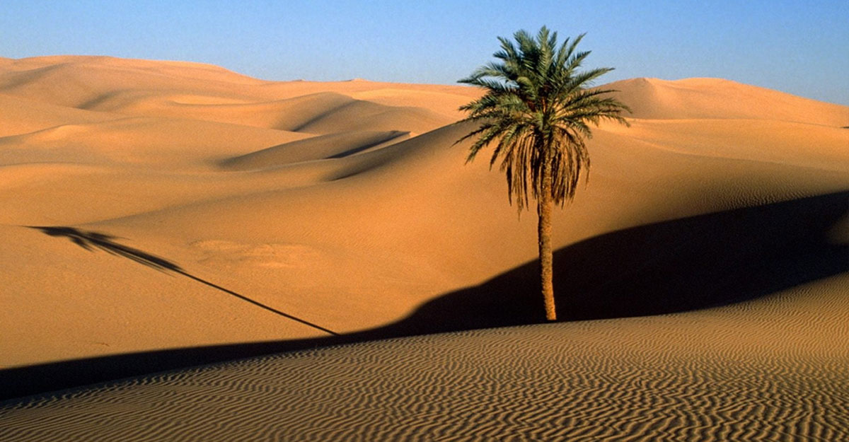 নবীগণ যে ৬ বিষয়ের দাওয়াত দিয়েছেন