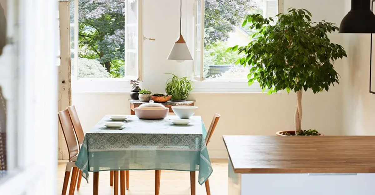 এসি ছাড়া ঘর ঠান্ডা রাখবেন যেভাবে