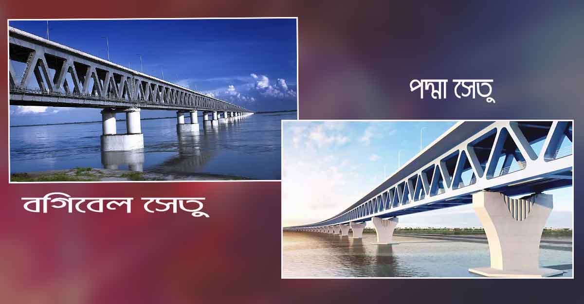 পদ্মা সেতুর মতো দেখতে ভারতের যে সেতু