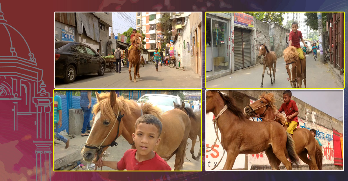 ঘোড়ায় চড়ে ঢাকার রাস্তায় ‘সুলতান’!