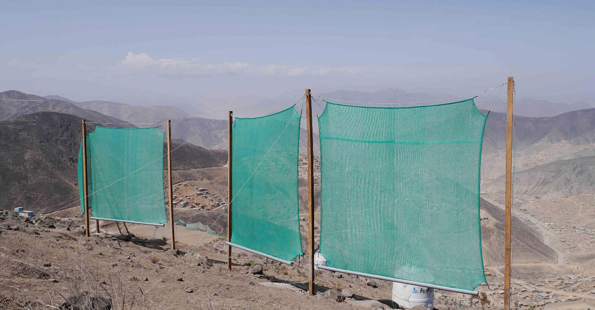 ফগ ক্যাচার: কুয়াশাকে পানিতে রূপান্তরের অভিনব প্রযুক্তি