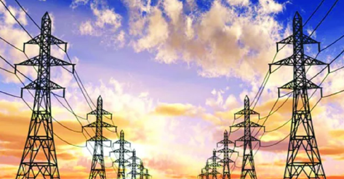 ‘বিদ্যুৎ সংকটের দায় জ্বালানি উপদেষ্টা এড়াতে পারেন না’