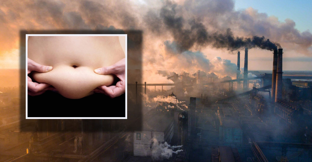 মধ্যবয়সী নারীর ওজন বাড়ায় বায়ু দূষণ: সমীক্ষা