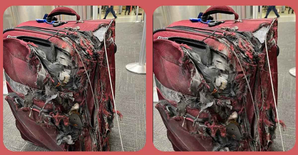 বিমানবন্দরে যাত্রীর ক্ষতিগ্রস্ত লাগেজের ছবি ভাইরাল