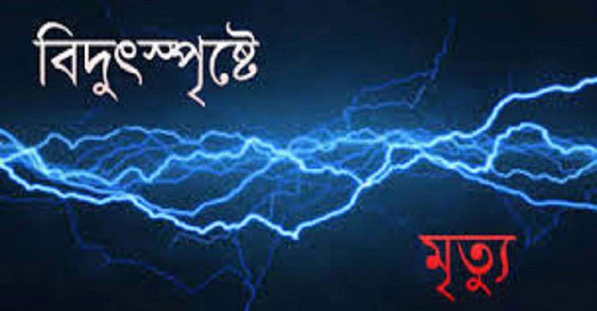 জামালপুরে বিদ্যুৎস্পৃষ্টে মা-ছেলেসহ ৩ জনের মৃত্যু