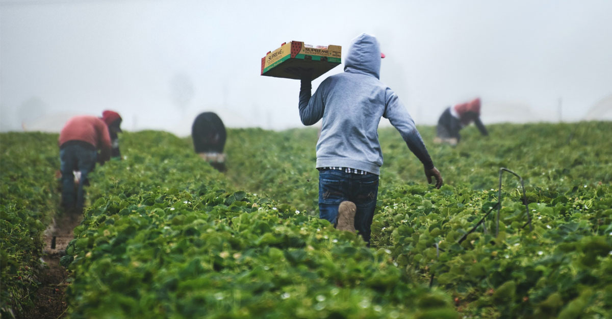 কর্মী সংকট, রেকর্ড সংখ্যক অভিবাসী নেবে কানাডা