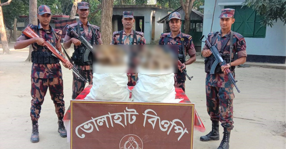 ফুটানি বাজারে অভিযানে মিলল কচ্ছপের ৫১ কেজি হাড়