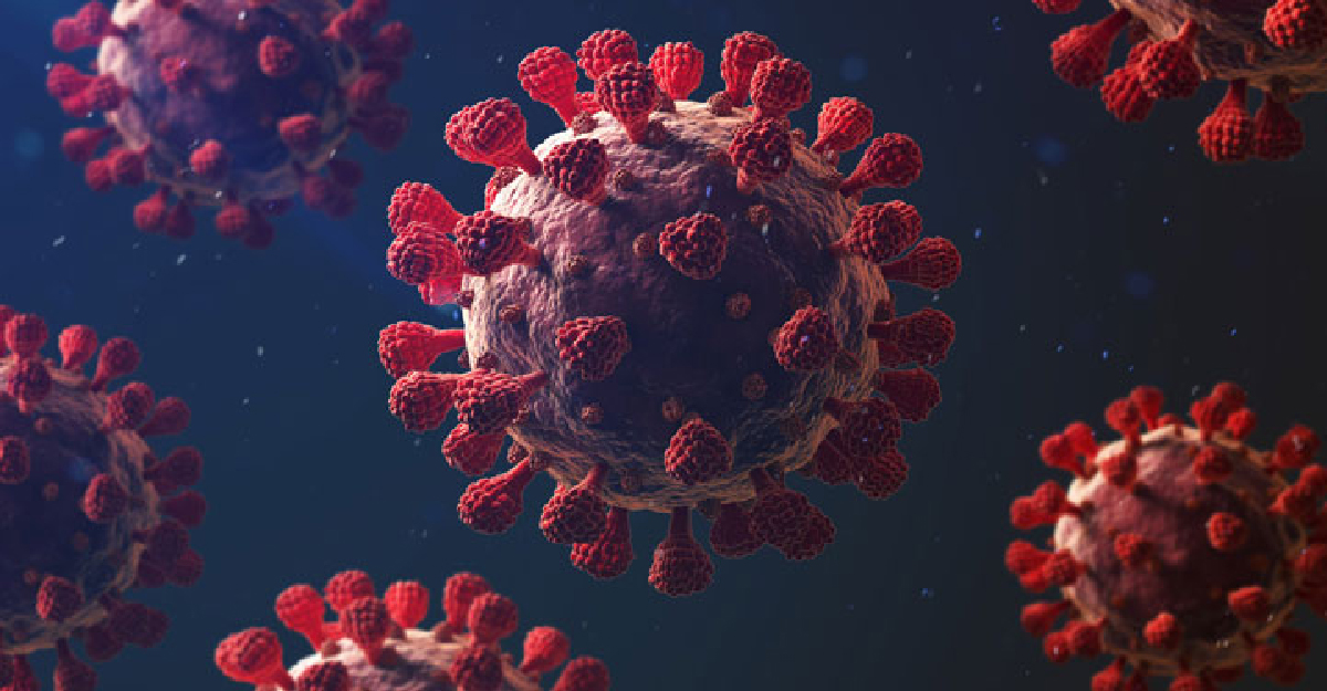 করোনায় আরও ১ মৃত্যু, শনাক্ত ১১