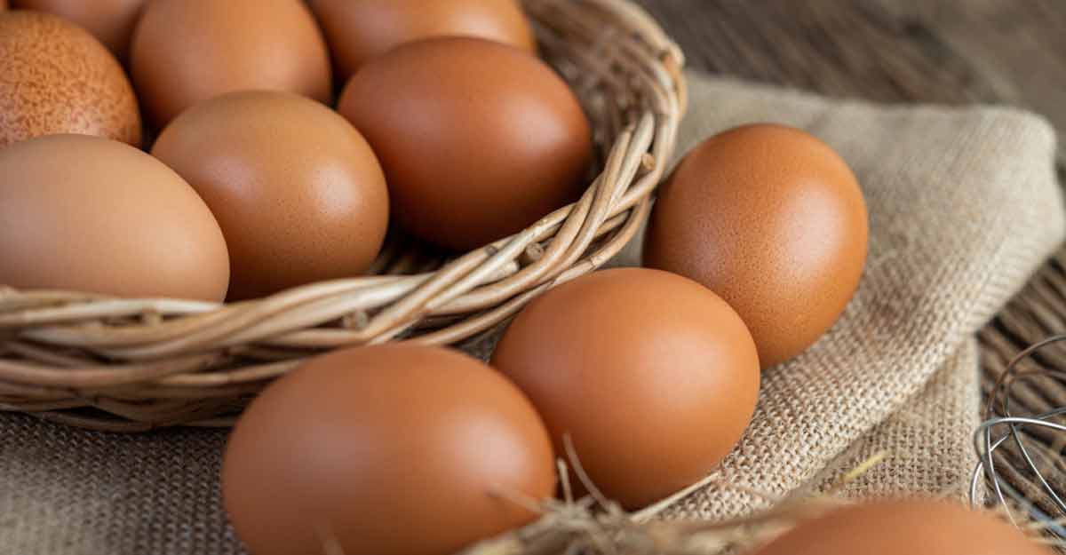 ১ ডিমের ১২ উপকারিতা