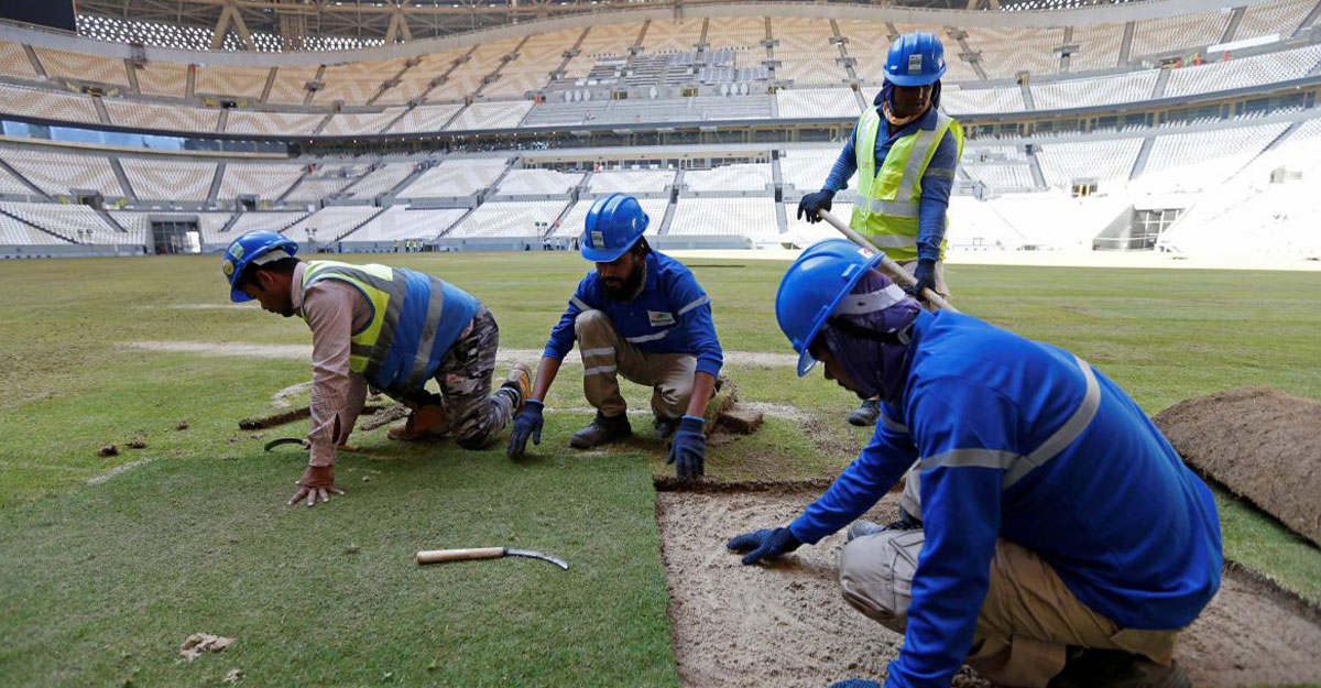যুক্তরাষ্ট্র থেকে আনা ঘাসে তৈরি হয়েছে কাতারের স্টেডিয়াম!
