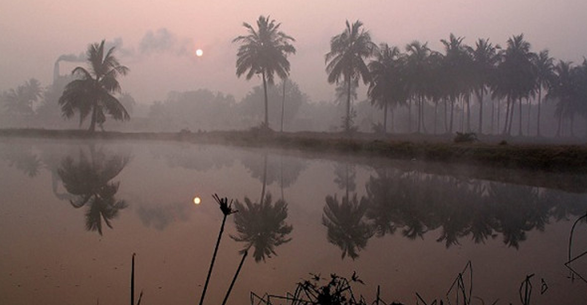 তাপমাত্রা ও কুয়াশা নিয়ে আবহাওয়া অফিসের নতুন বার্তা