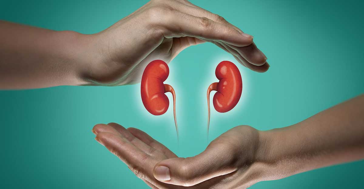 কিডনি বিকল হওয়ার কারণ কী?