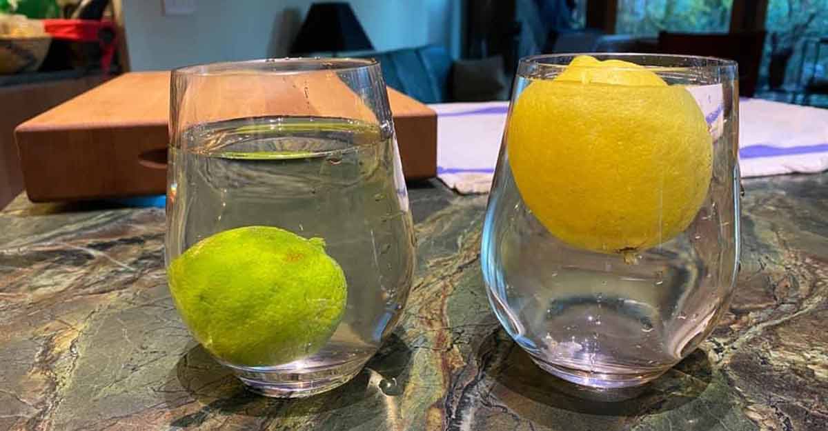 বাতাবি লেবু পানিতে ভাসে, কাগজি লেবু ডুবে যায়