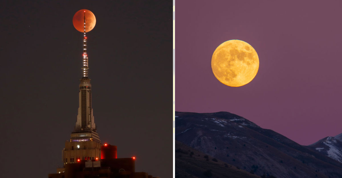 বিশ্বজুড়ে যেমন দেখা গেল পূর্ণ চন্দ্রগ্রহণ