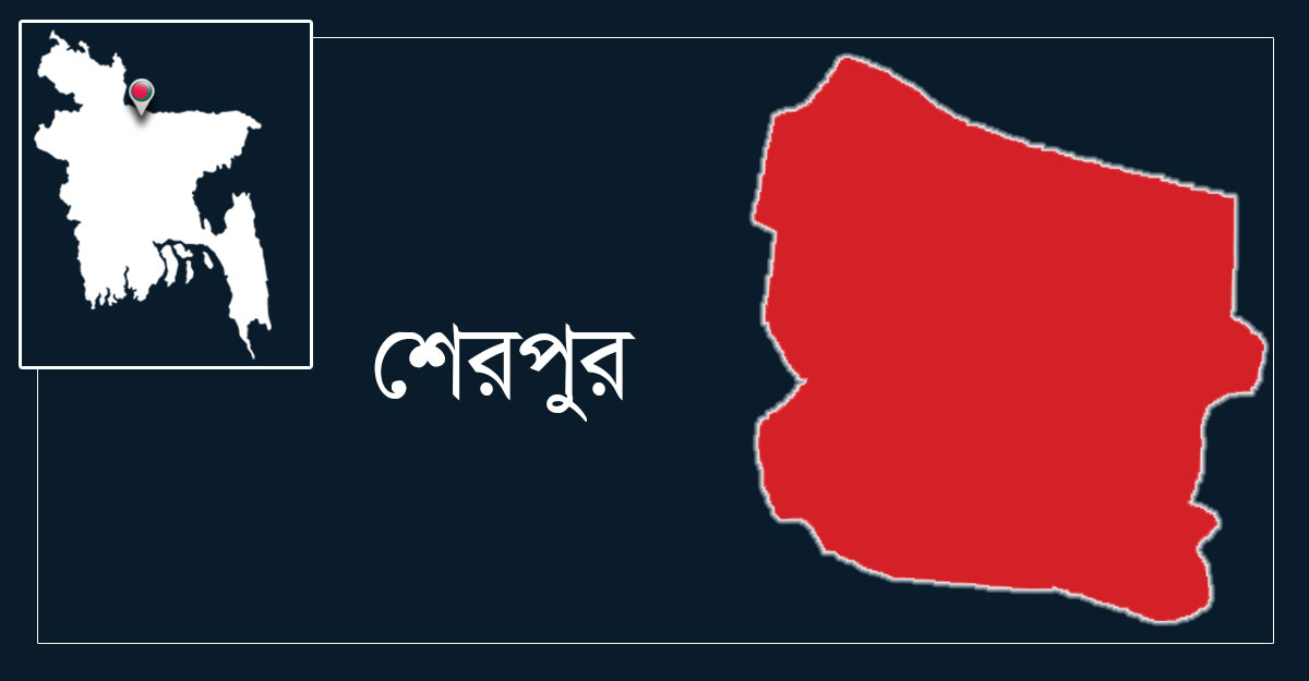শেরপুর সীমান্তে বন্য হাতির আক্রমণে কৃষকের মৃত্যু