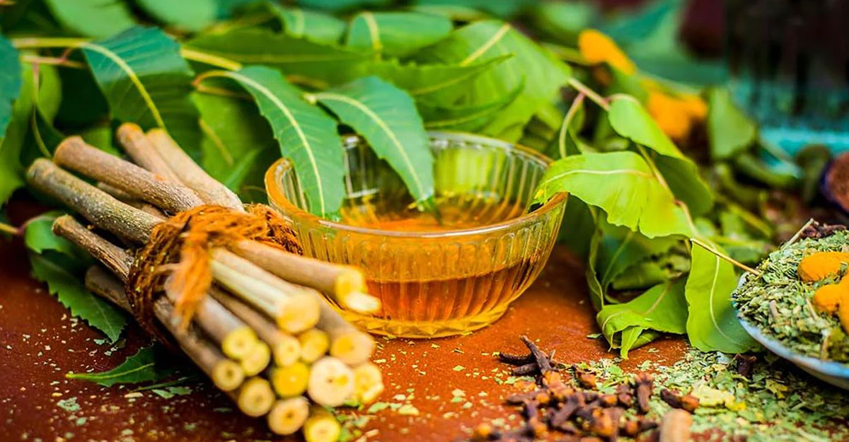 নিমের ডাল-পাতা সবই উপকারি