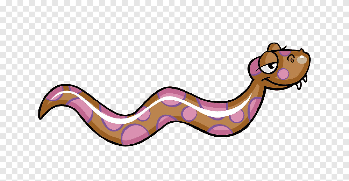 অজগর সাপ কি খুব বুদ্ধিমান প্রাণী?