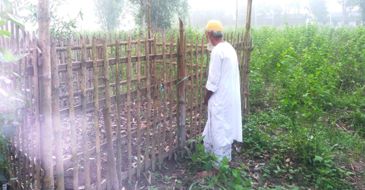 রবিউস সানি মাসে যেসব আমলে মনোযোগী হবেন