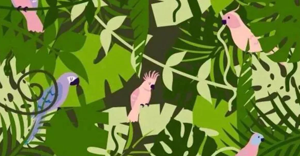 ছবিতে সাপ কোথায়, খুঁজুন ৫ সেকেন্ডে