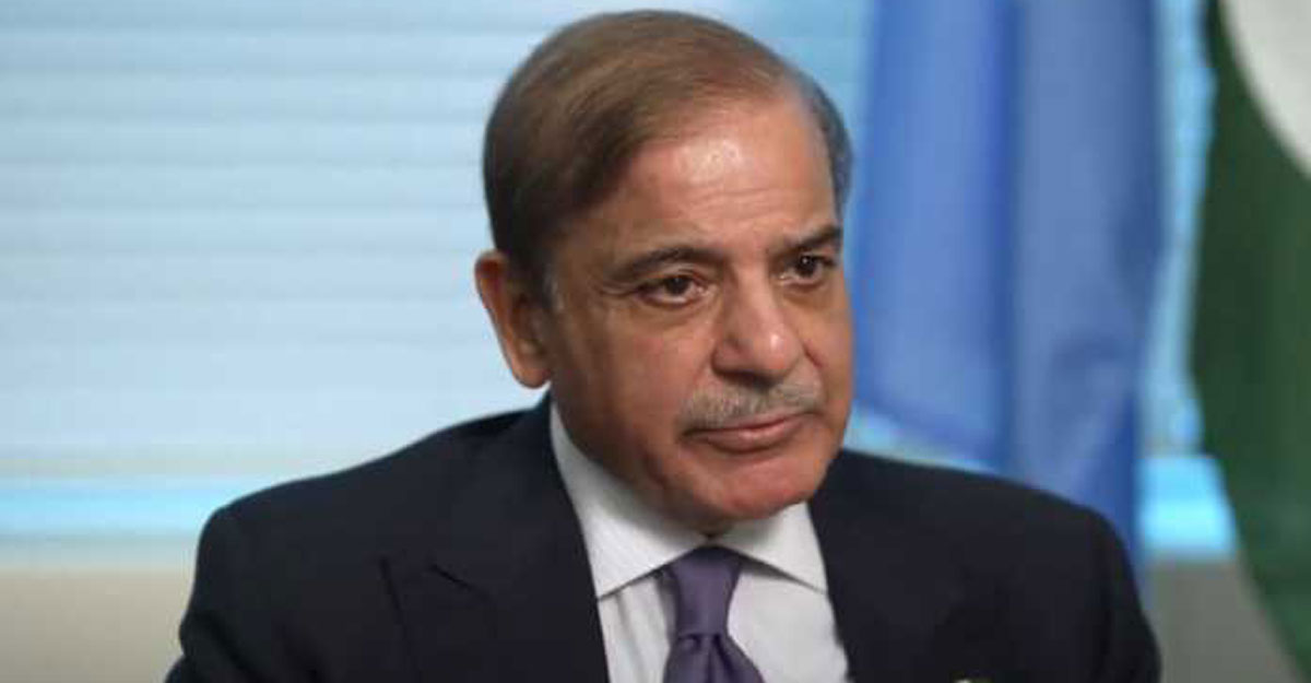 যে কারণে ইমরান খানকে ‘সবচেয়ে বড় মিথ্যাবাদী’ বললেন শাহবাজ