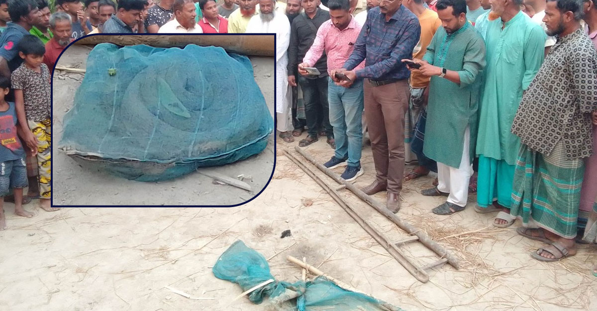 দশম শ্রেণির শিক্ষার্থী ধরলেন বিষধর রাসেল ভাইপার