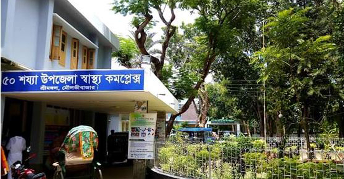 শ্রীমঙ্গলে কুকুরের কামড়ে আহত ২০, এলাকাজুড়ে আতঙ্ক