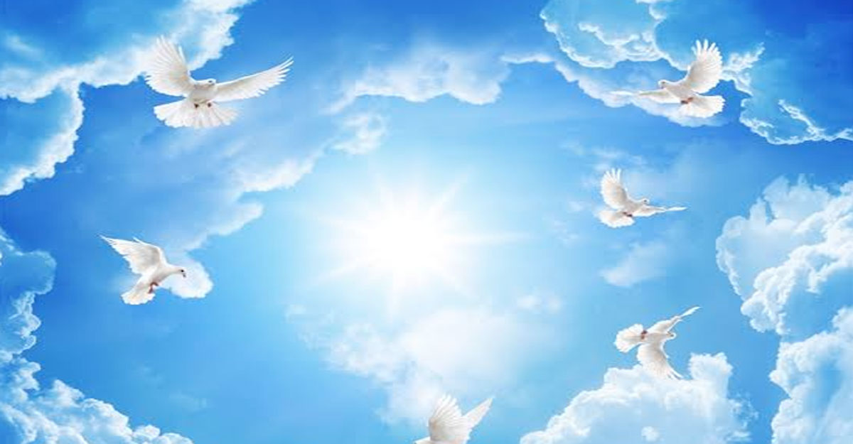 নেককার বান্দার জান কবজ করা হয় যেভাবে