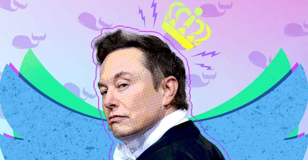 টুইটার কিনে নিজেই সিইও বনে গেলেন ইলন মাস্ক