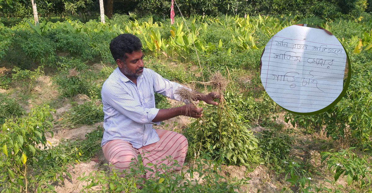 চিরকুটে ‘গাড়ি চাই’ লিখে জমির আবাদ নষ্ট করলো কারা