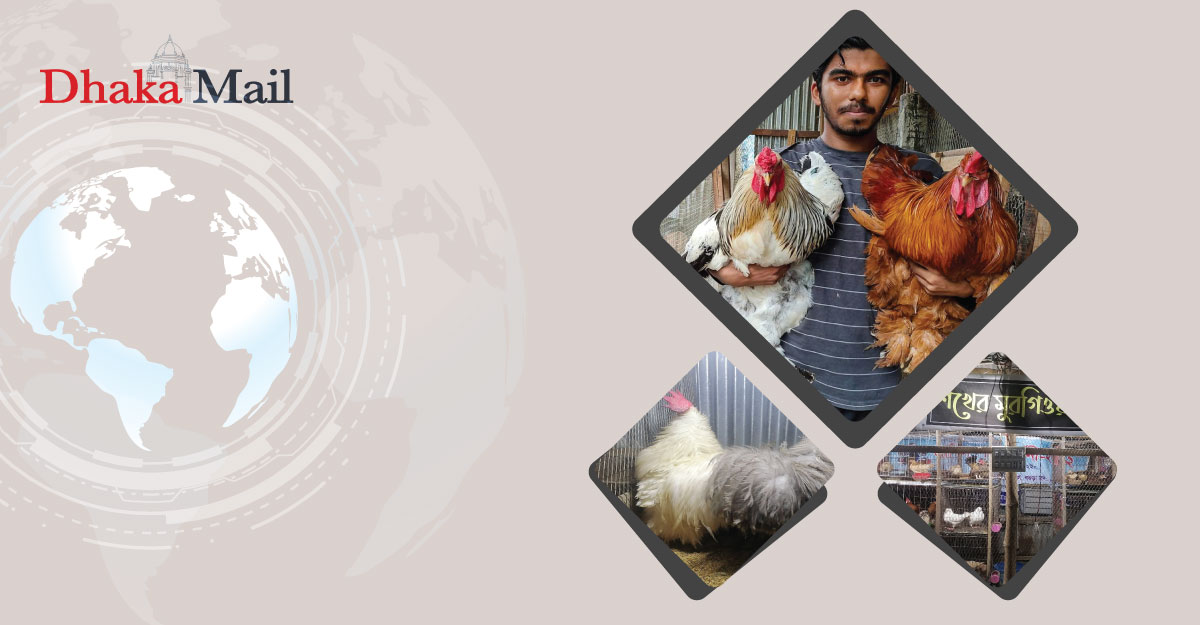 ‘শখের মুরগিওয়ালা’ হলেন কলেজশিক্ষার্থী আপন