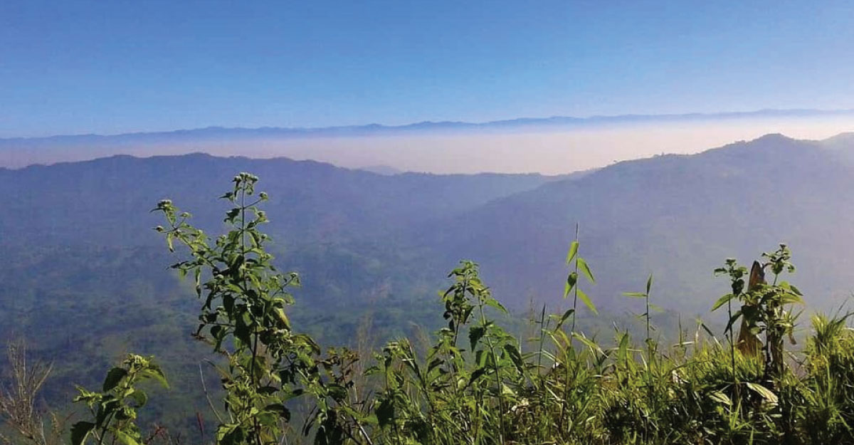 দেশের সর্বোচ্চ পর্বতশৃঙ্গ তাজিংডং নাকি সাকা হাফং?
