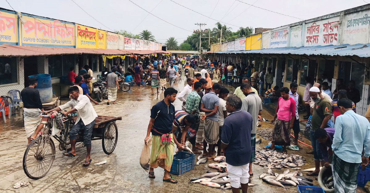 ফলতিতা বাজারে প্রতিদিন বেচাকেনা হয় কোটি টাকার মাছ