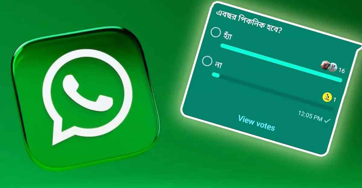 ভোট দেওয়া যাবে হোয়াটসঅ্যাপে 