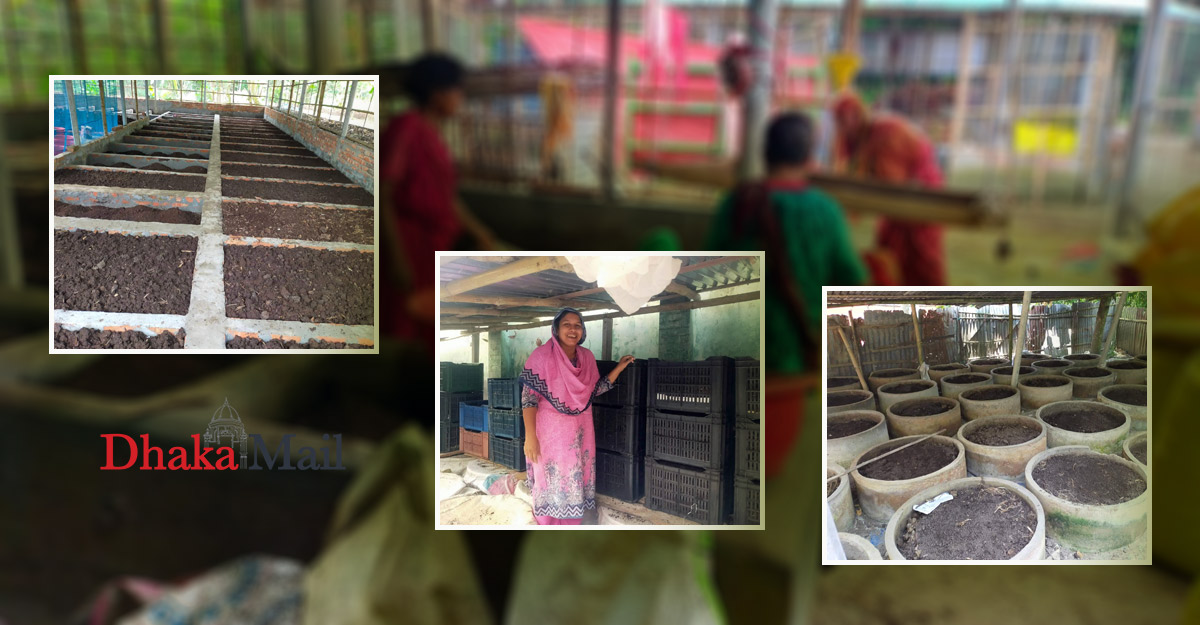 গোবর কীভাবে কাজে লাগানো যায়, সেই চিন্তা থেকে বদলে গেল রেশমার জীবন