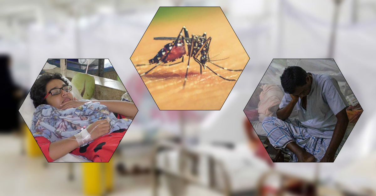 ডেঙ্গু চিকিৎসার অন্তরায় অতিরিক্ত পরীক্ষা ব্যয়
