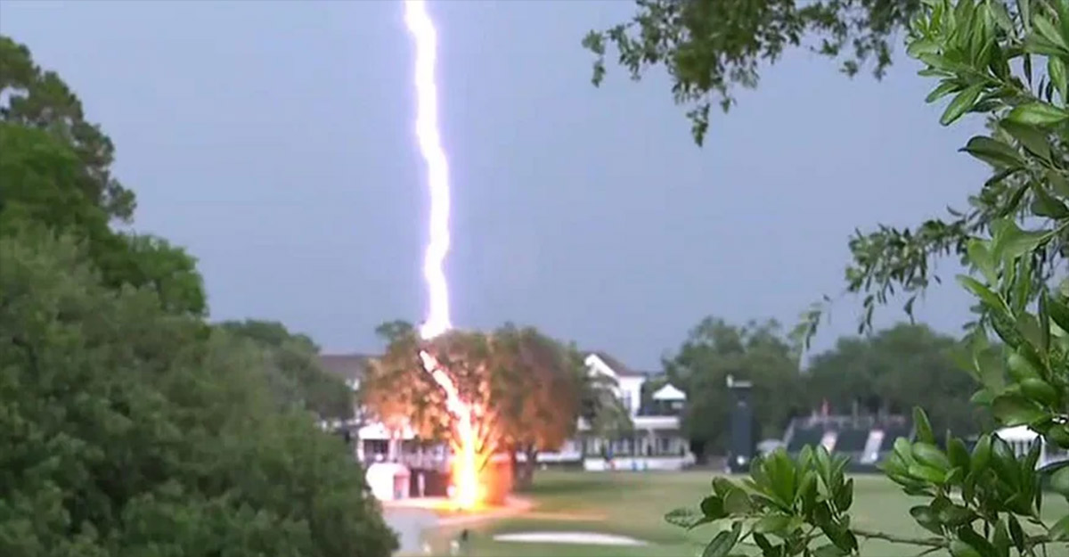 বজ্রপাতে দেশের তিন জেলায় ৫ মৃত্যু, আহত ৬