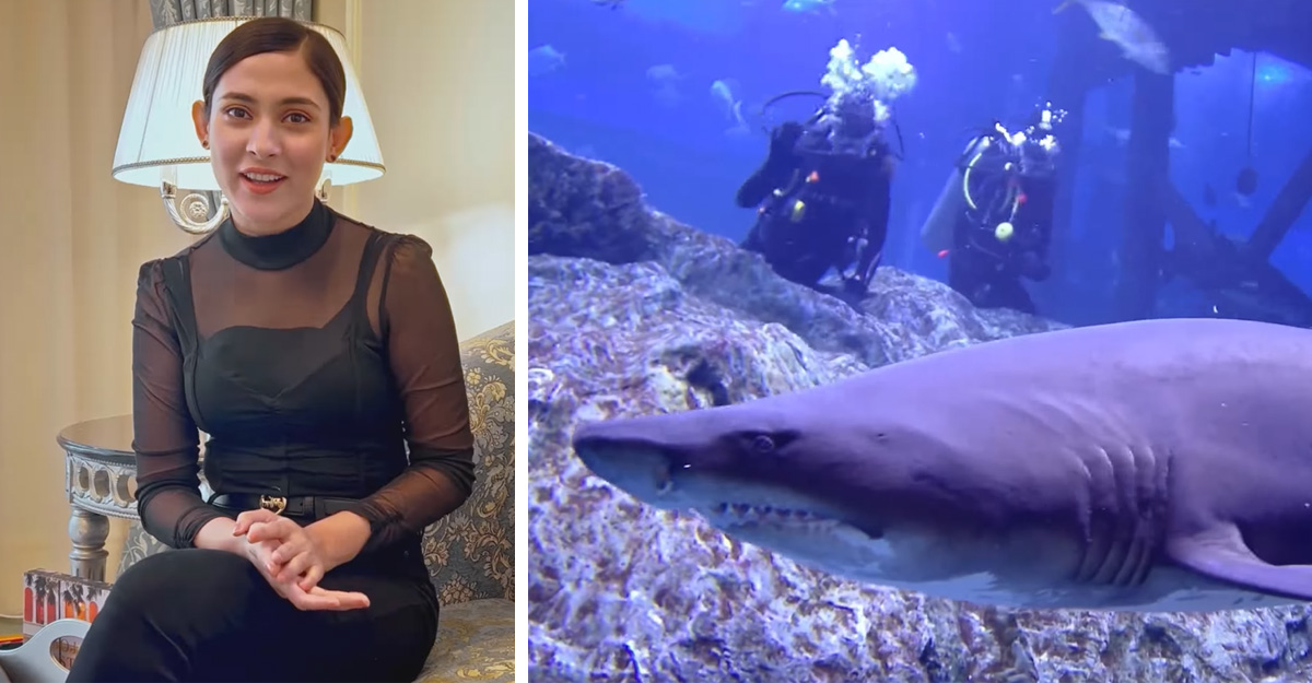 হাঙরের মুখ থেকে ফিরে এলেন মেহজাবীন