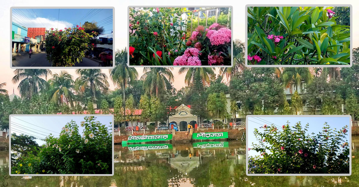 ফুলের সাজে রঙিন শহর মৌলভীবাজার